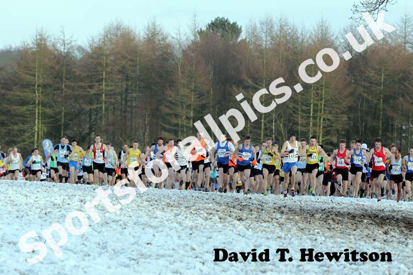 Start of the senior mens Northern Cross Country Championships.
